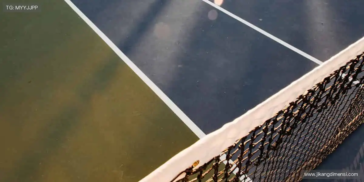 专业在线游戏中心:海量房间自由切换,社交互动不再孤单